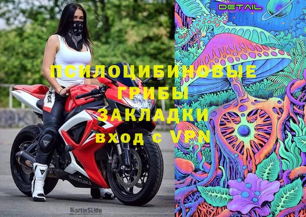 хмурый Абинск