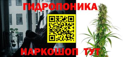 герыч Новодвинск
