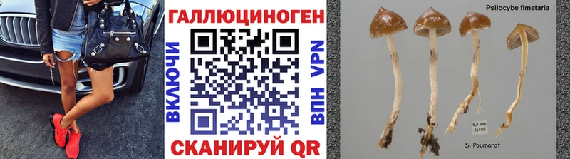 Галлюциногенные грибы мухоморы  гидра маркетплейс  Серпухов 